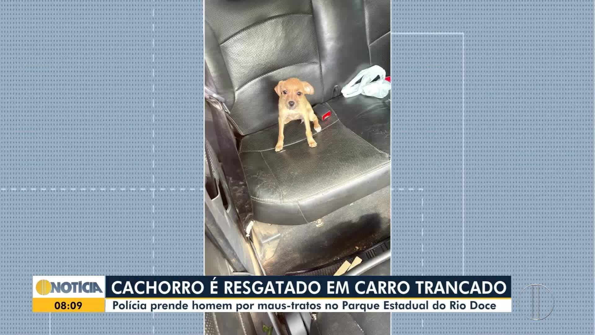 foto Not&iacute;cia Sete Lagoas